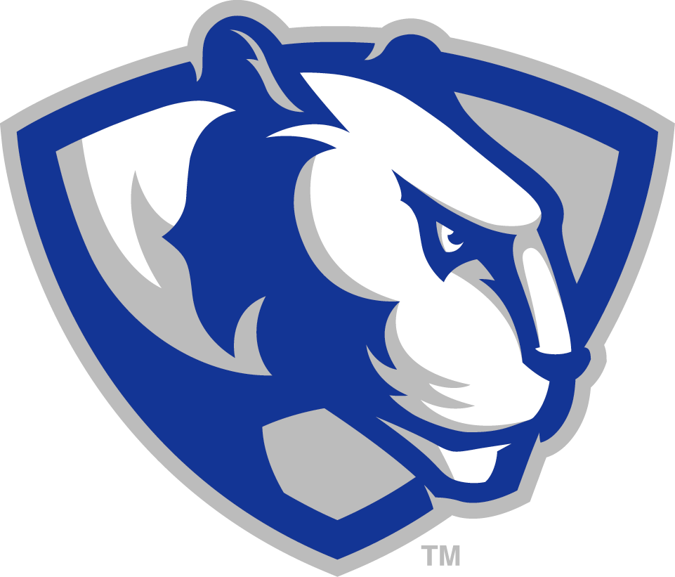 Eastern Illinois Panthers 2015-Pres Partial Logo v2 diy iron on heat transfer